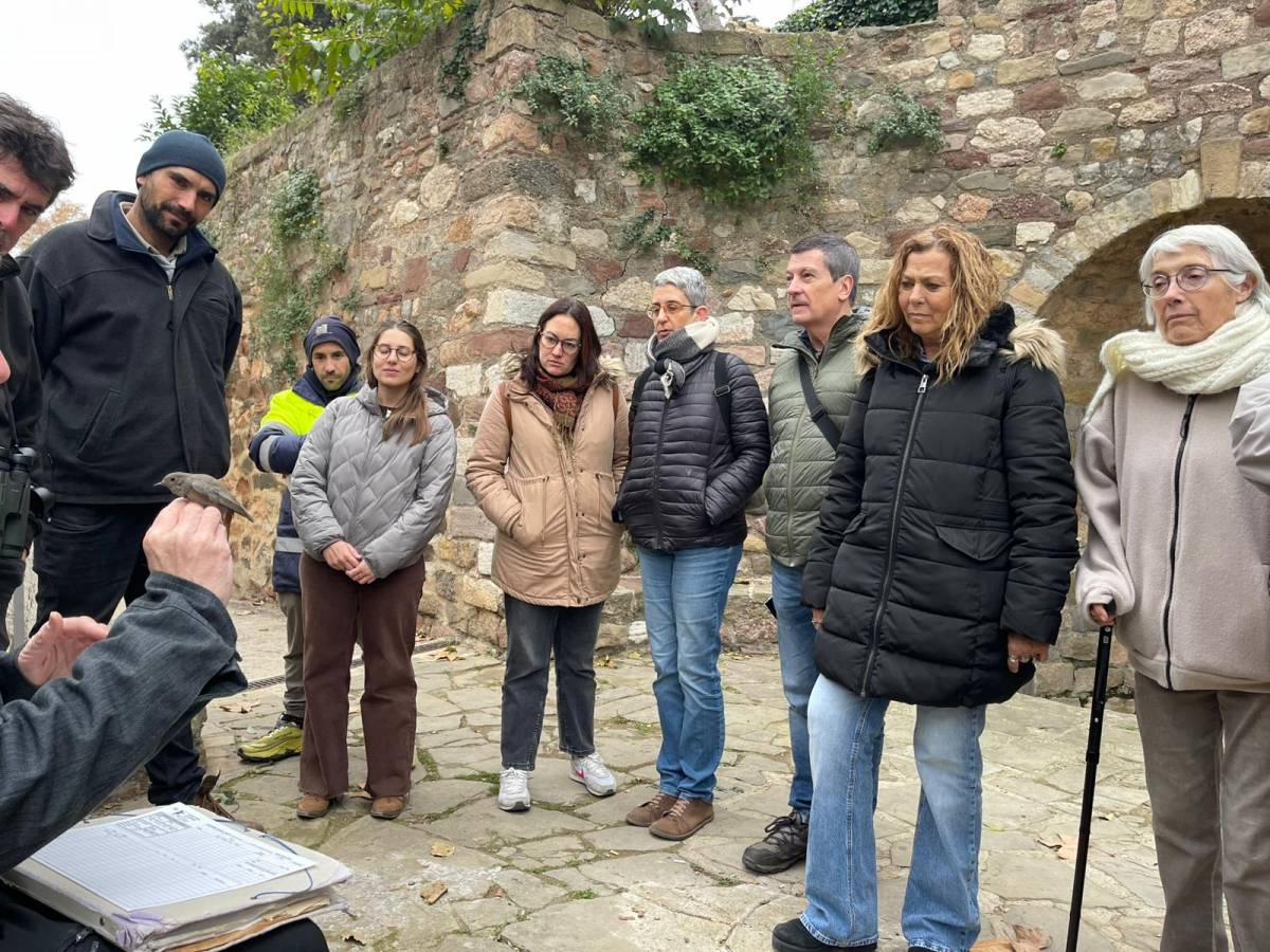 Anellament científic d’ocells al parc de Vallparadís