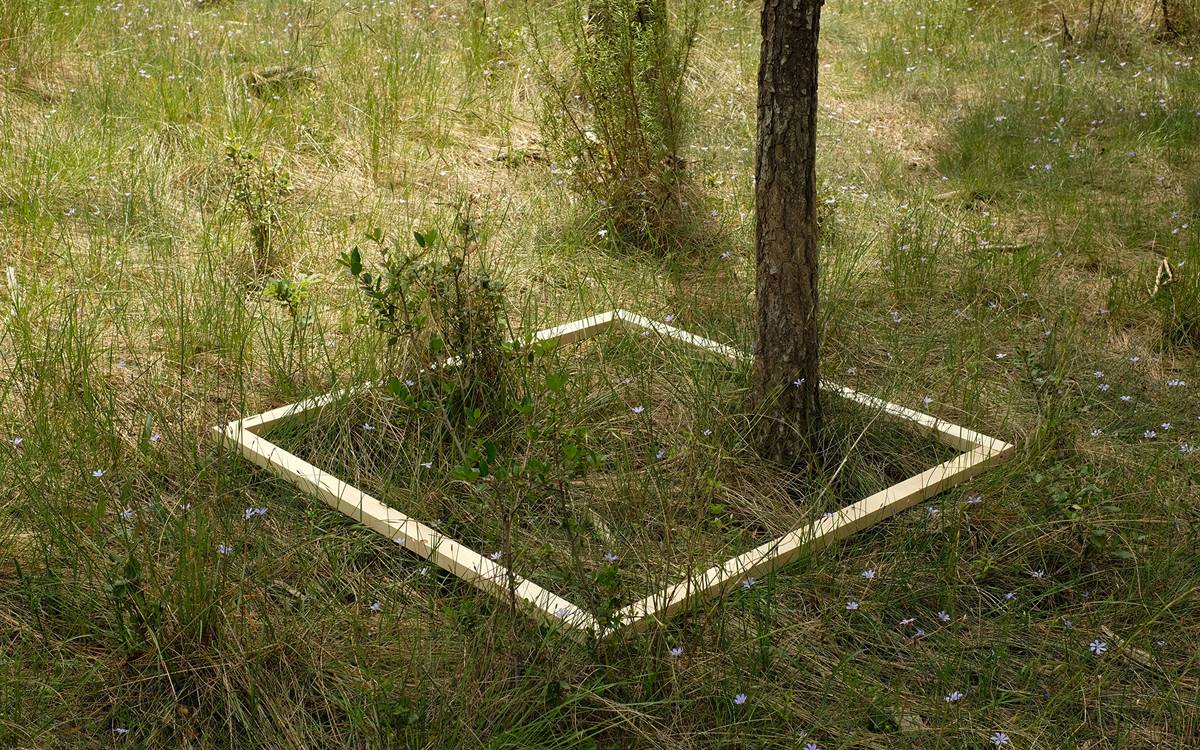 CACiS inaugura «Resiliències Silvestres», una exposició sobre biodiversitat i territori