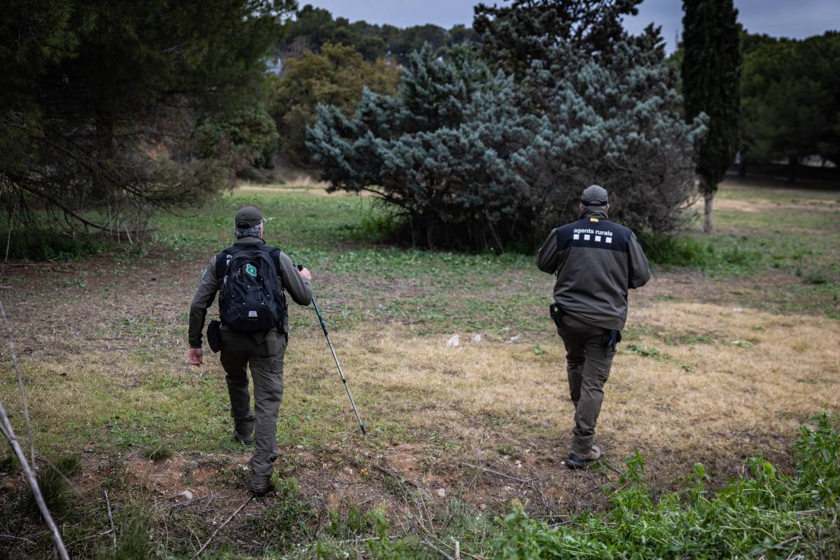 El Govern prohibeix l'accés al medi natural en 91 municipis per la pesta procina