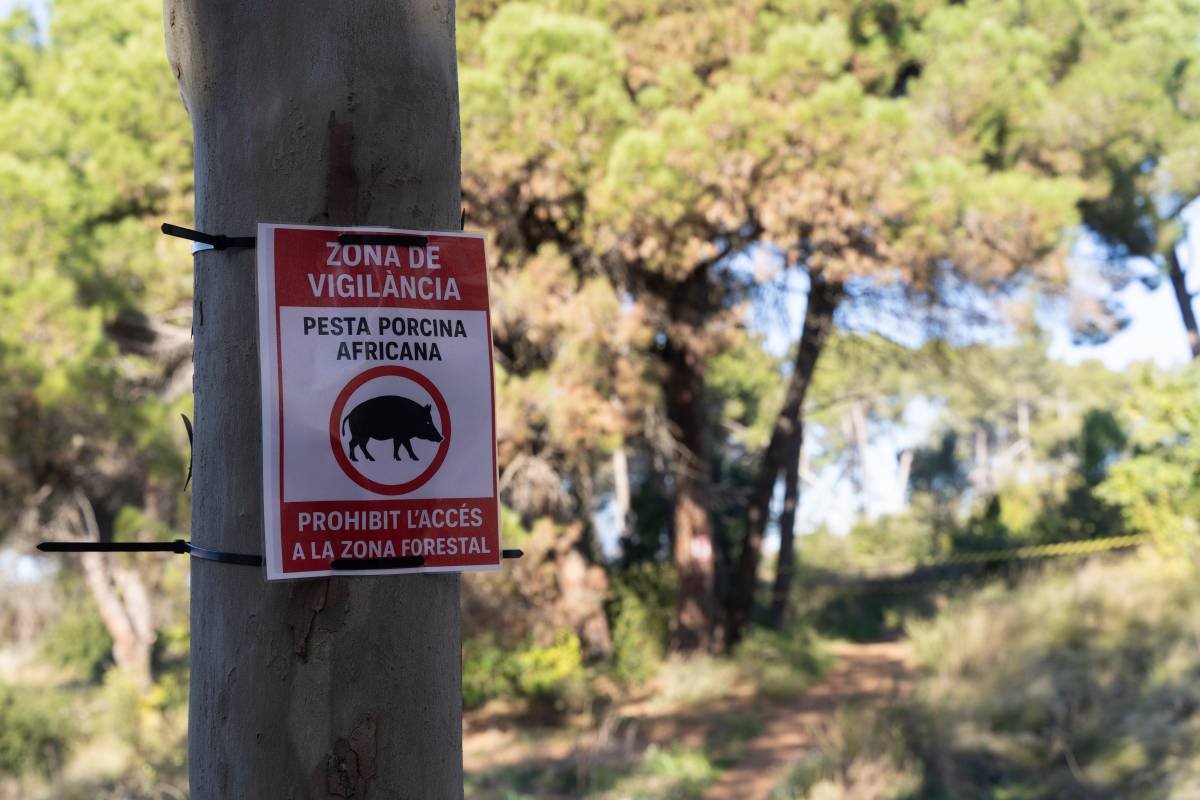 La Generalitat prohibeix anar a la Mola durant el pont de la Puríssima