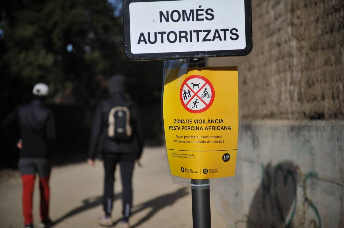 Sorpresa i resignació al Parc de Sant Llorenç: 