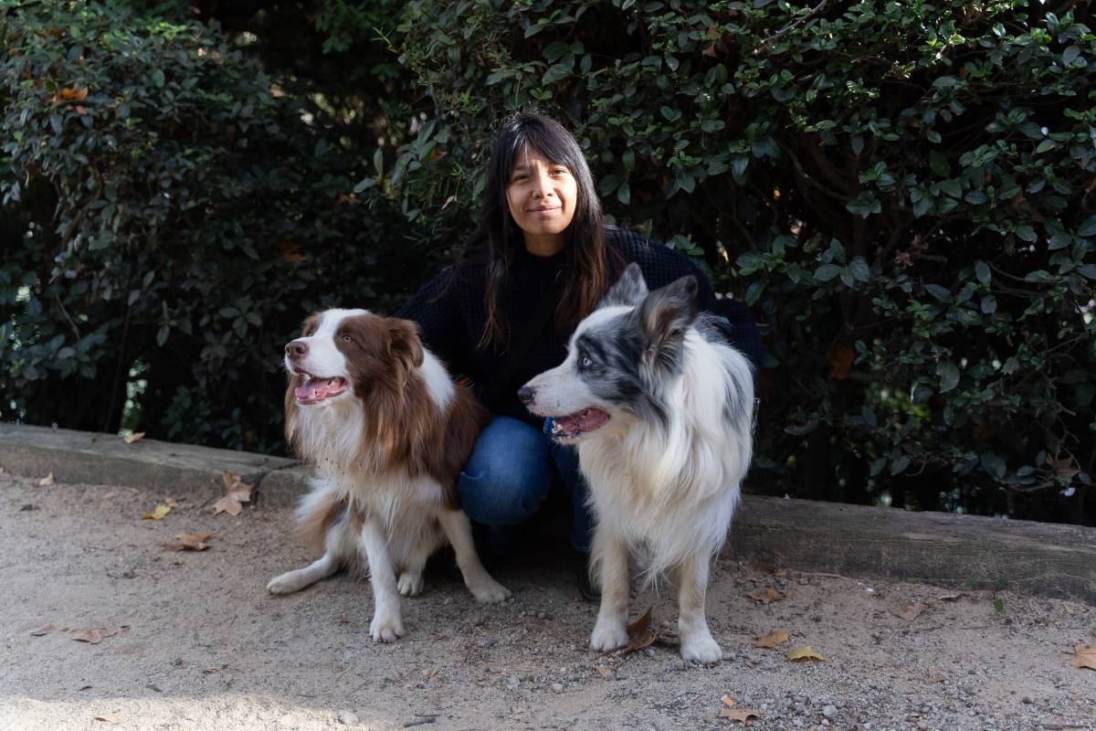 Lucía Pintado - DAVID CHAO