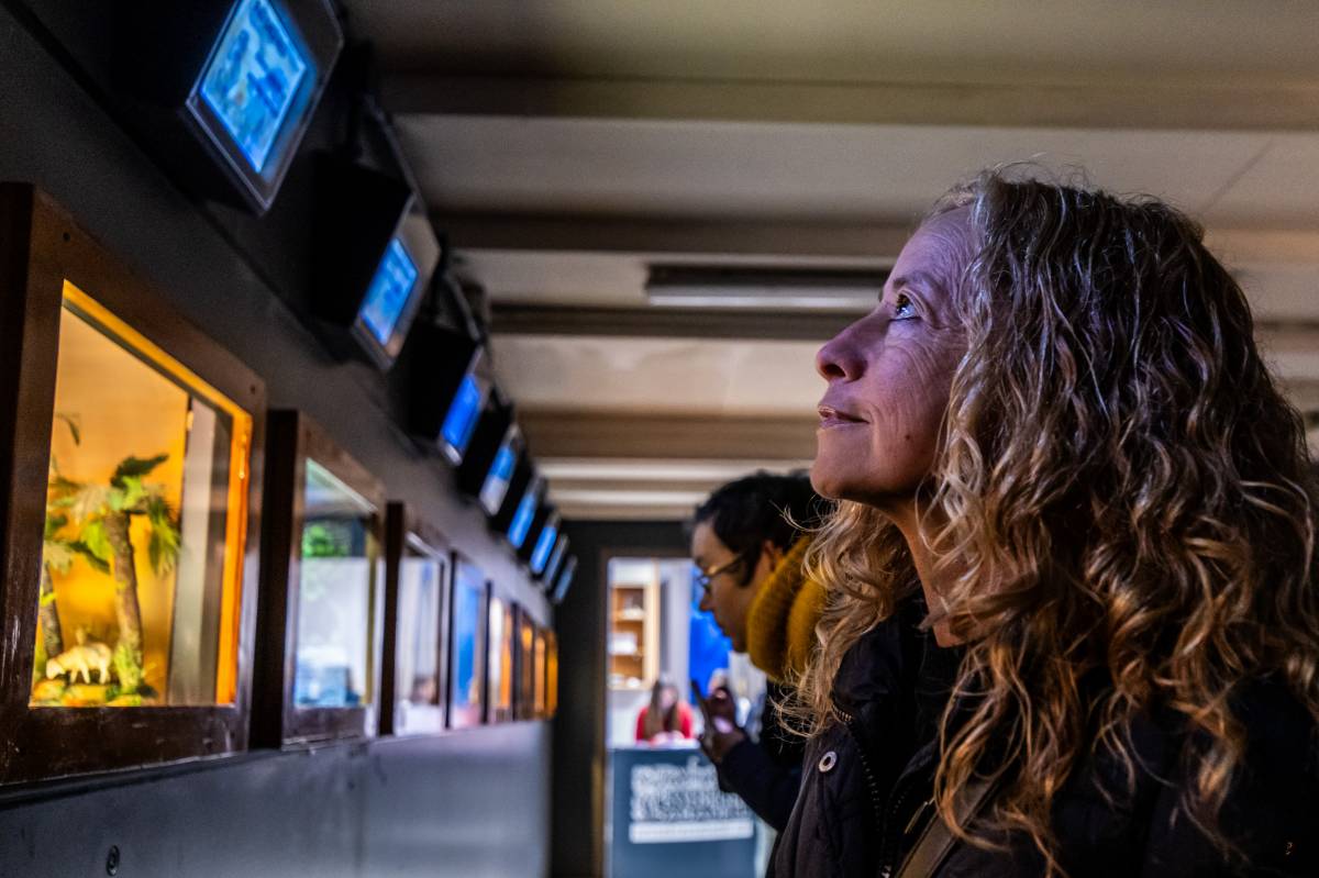 La 48a edició de l’exposició de l’Agrupació de Pessebristes - JUANMA PELÁEZ La 48a edició de l’exposició de l’Agrupació de Pessebristes