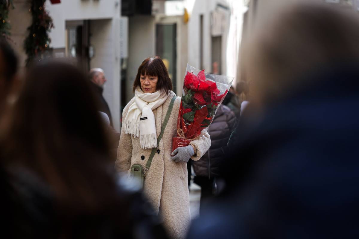 Els comerços de Terrassa es mantenen oberts, també en festius - Lluís Clotet Els comerços de Terrassa es mantenen oberts, també en festius