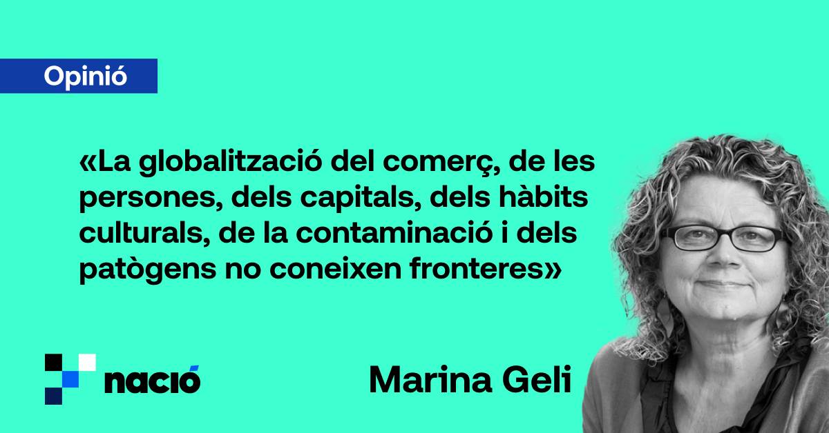 marina geli 8/12 - 