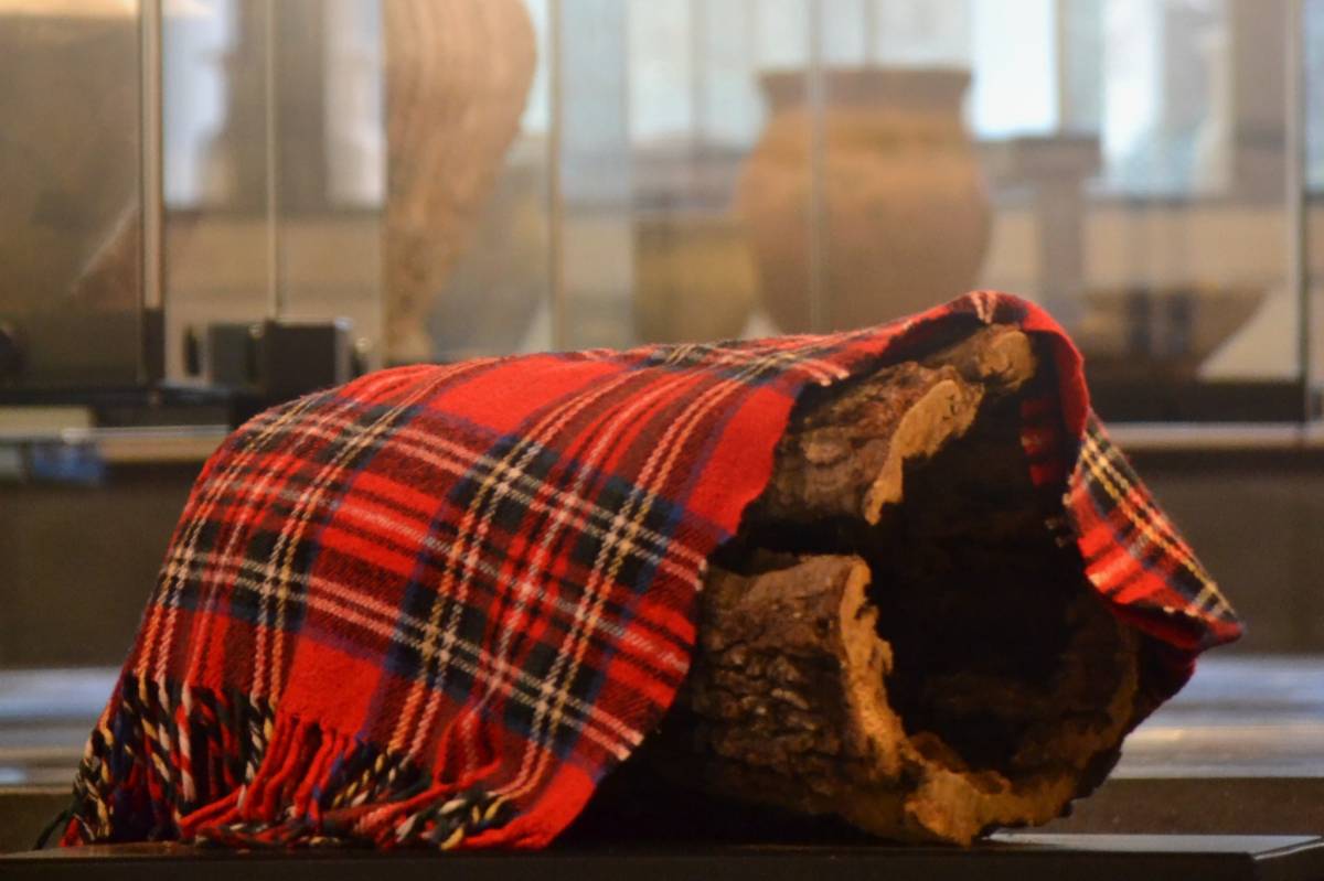 Activitats familiars i visites guiades conformen l'agenda nadalenca del Museu de Solsona 