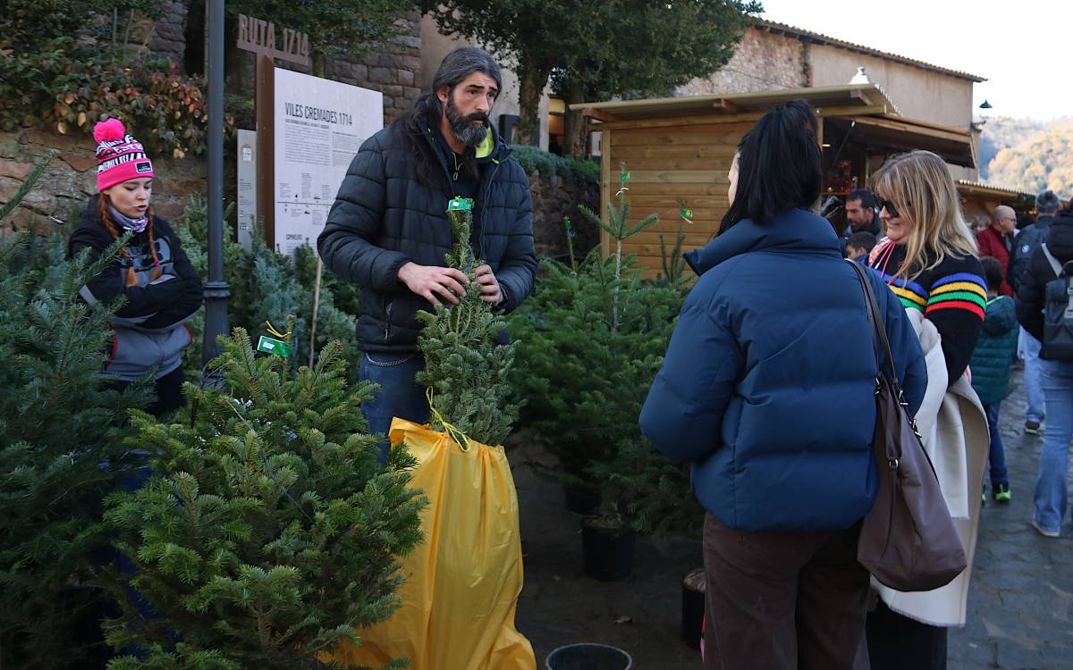 Fira de l`Avet d`Espinelves 2025. - ACN Fira de l`Avet d`Espinelves 2025.