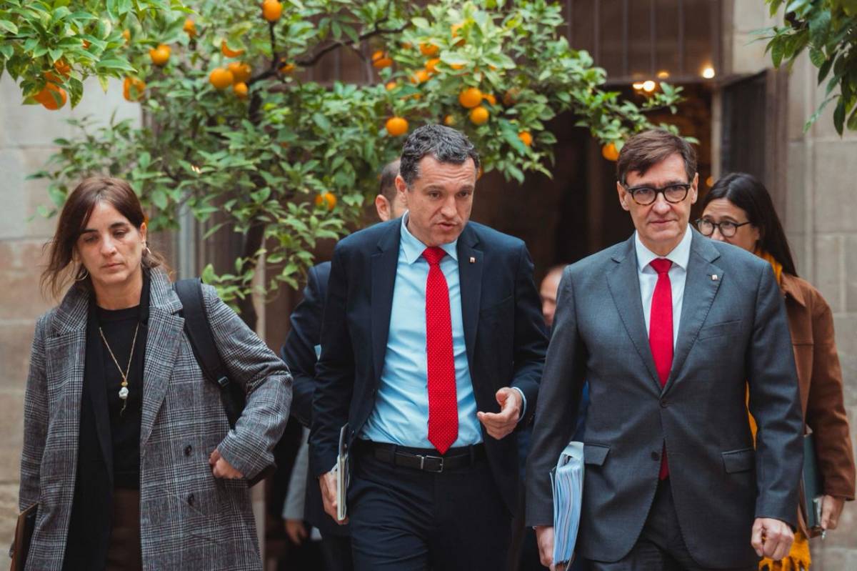 El Govern declara l'emergència per a les actuacions per frenar la pesta porcina