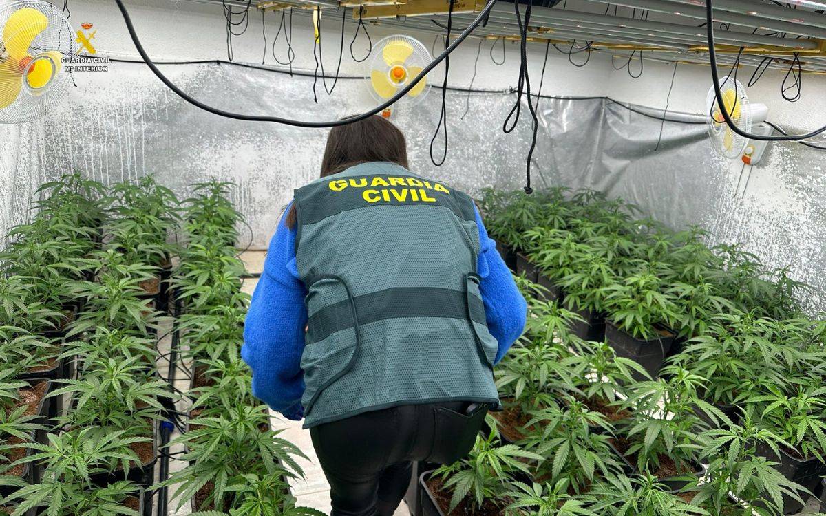 Desmantellen una organització criminal dedicada al tràfic de drogues al Baix Penedès i el Tarragonès