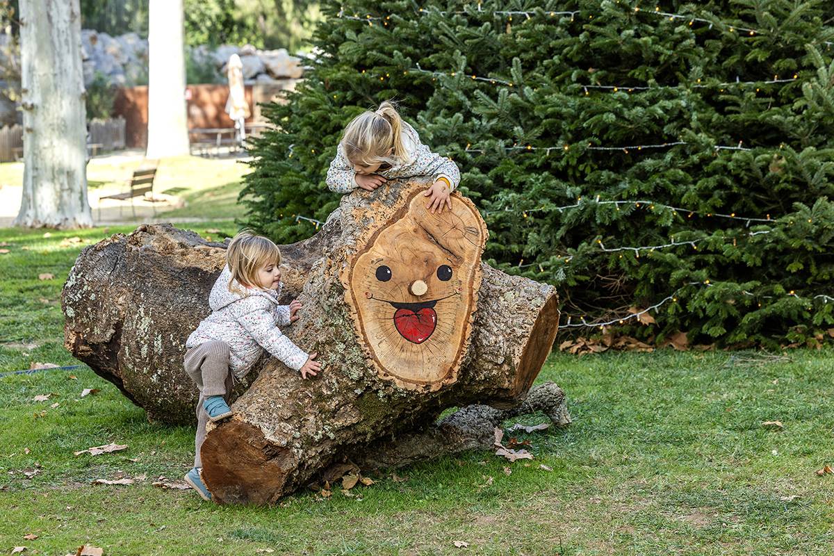 Nadal al Zoo: activitats familiars i un avet de 12 metres per viure la màgia