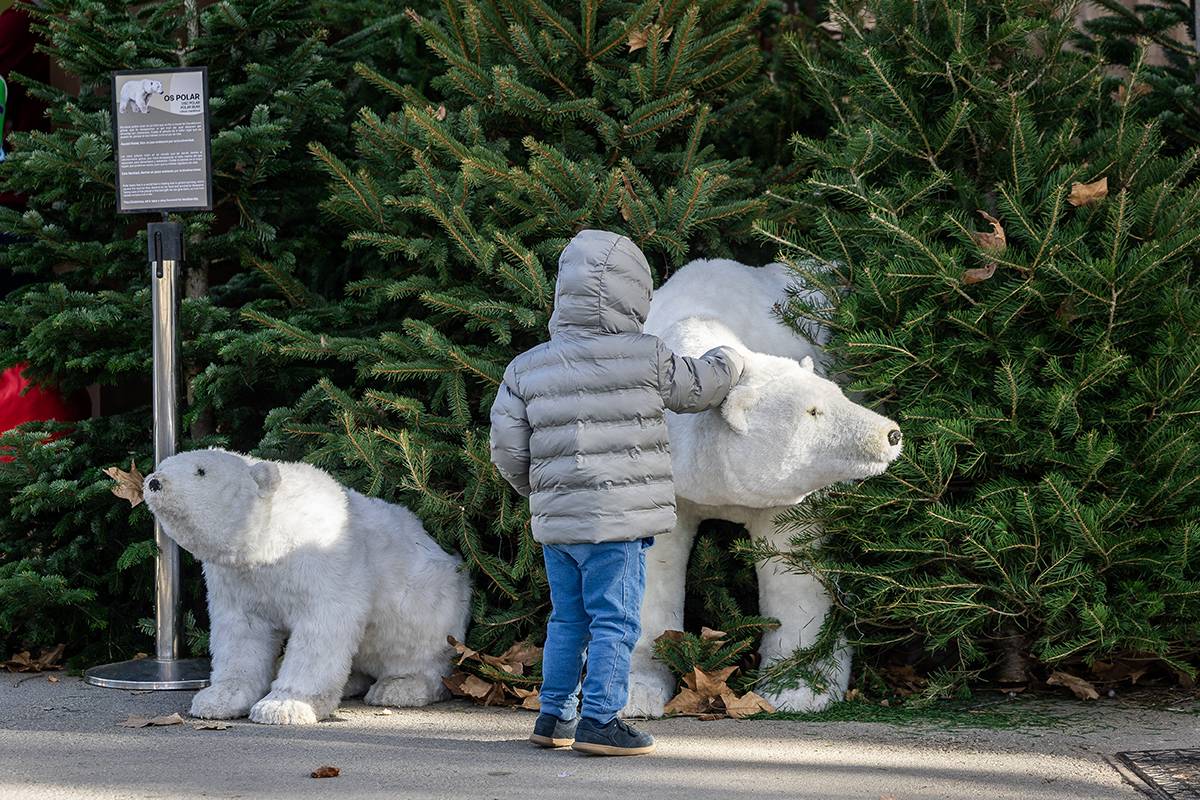 Descobrir el Zoo de Barcelona és un bon pla per aquest Nadal - BSM Descobrir el Zoo de Barcelona és un bon pla per aquest Nadal