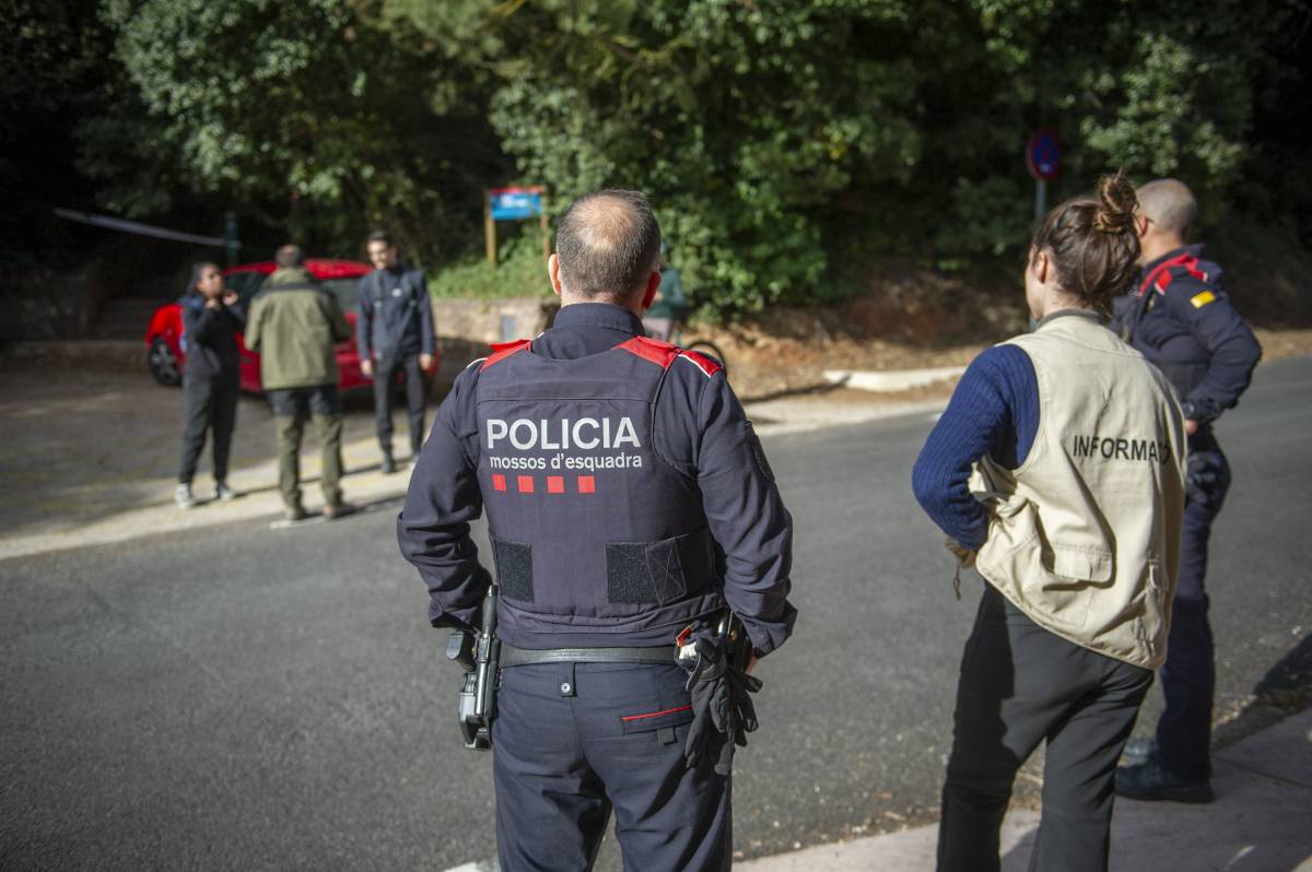 Un jutjat investigarà el brot de pesta porcina