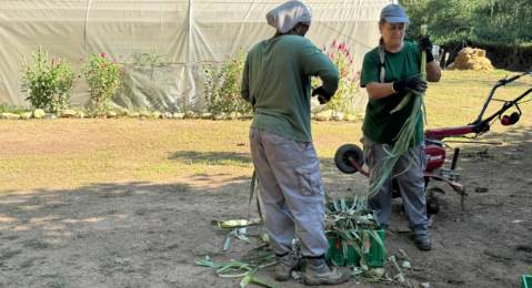 Unes 800 persones es beneficiaran dels programes d'ocupació als barris l'any 2026