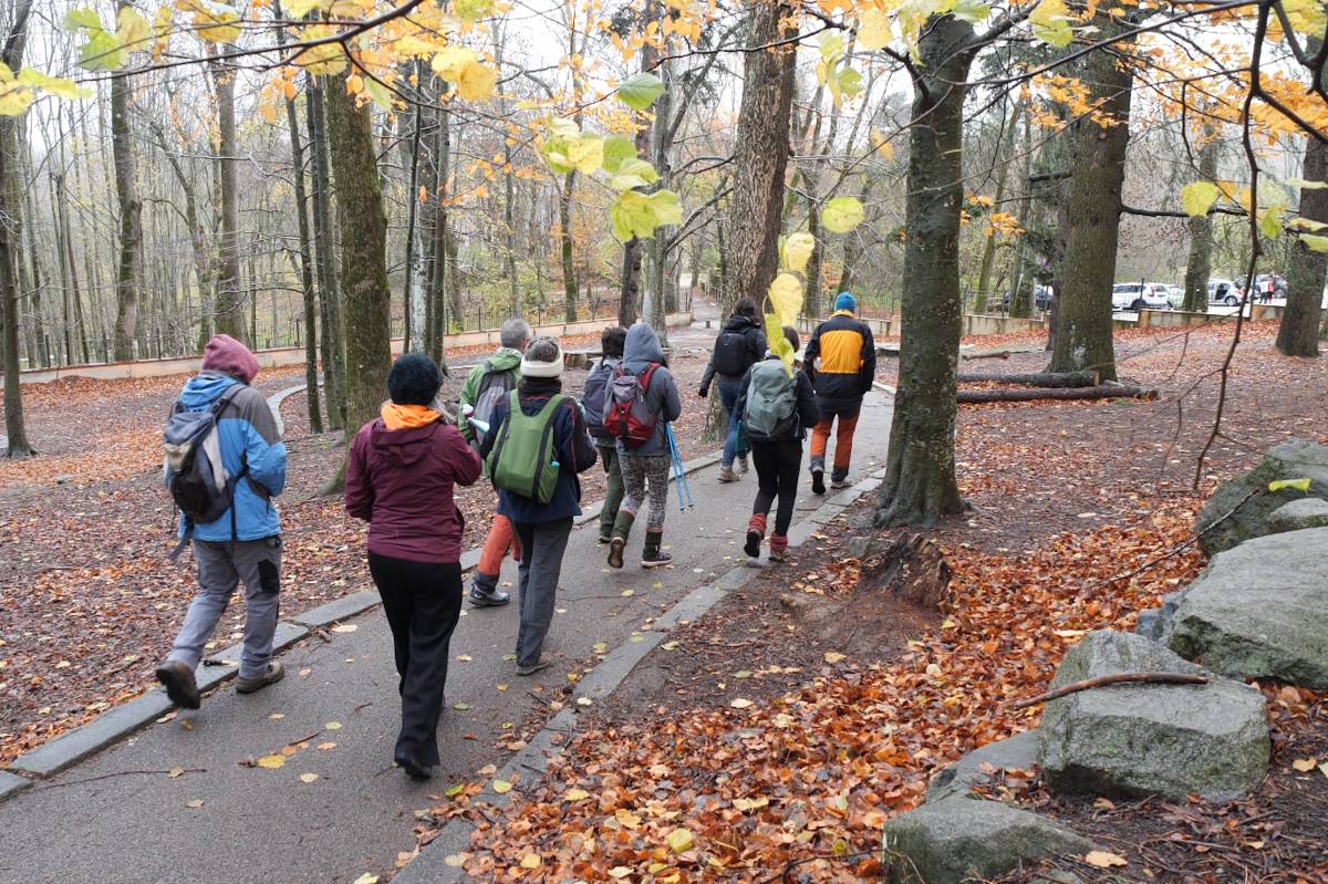 Un grup de passejants al bocs. - Berta Artigas Un grup de passejants al bocs.