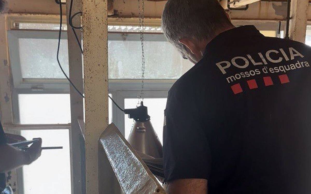 Marxa a l'estranger durant setmanes i deixa cinc gossos a casa sense menjar ni beure i desatesos