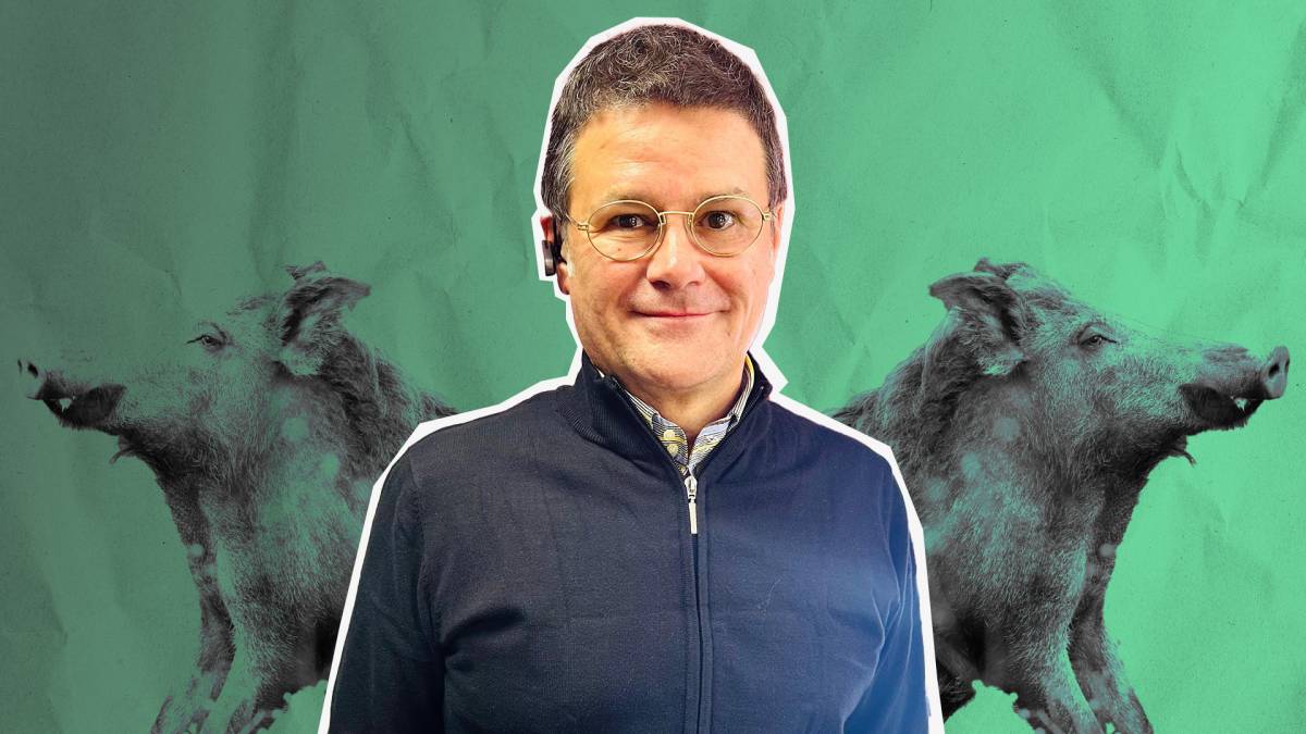 «No trobar més senglars positius és una mala notícia»