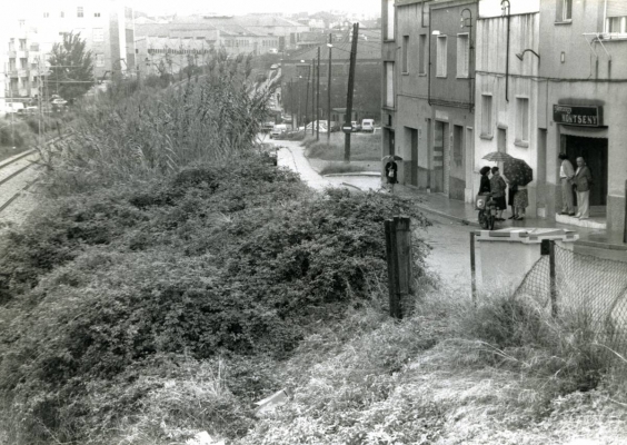 La vegetació va perdre la partida
