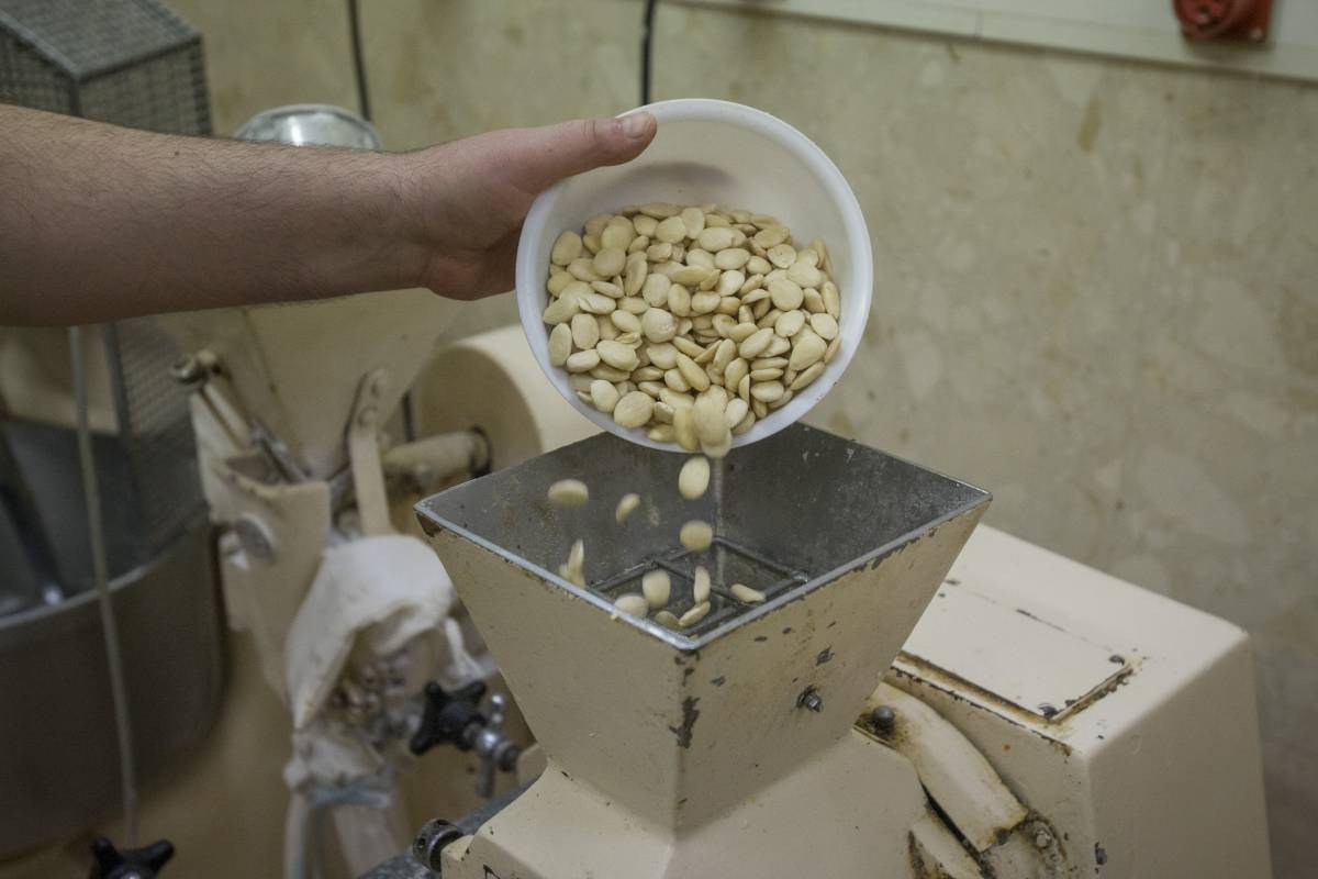 Elaboració del torró artesà de crema, a la Pastisseria Turull - NEBRIDI ARÓZTEGUI Elaboració del torró artesà de crema, a la Pastisseria Turull