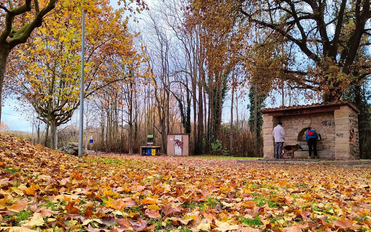 Meandre tanca l'any amb una caminada de marxa nòrdica pels cingles i les fonts de Navarcles