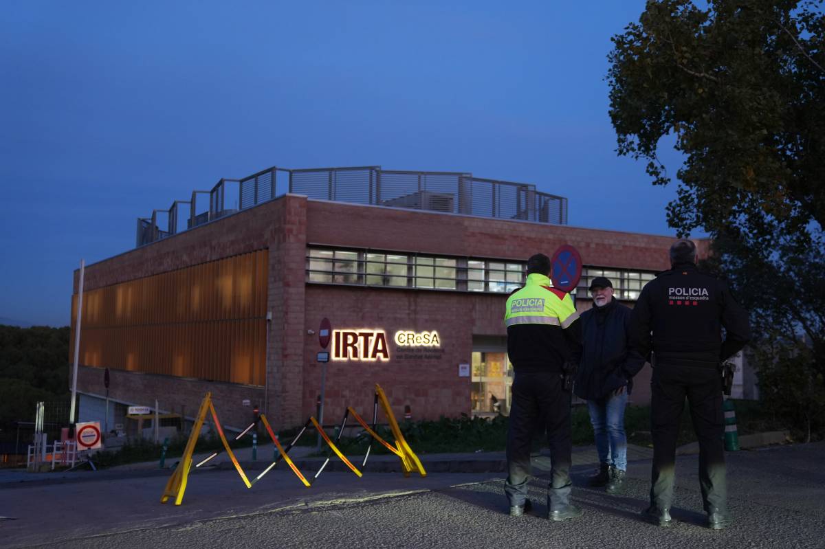 Es pot escapar un virus del laboratori? L'IRTA-CReSA nega que les obres ho hagin facilitat