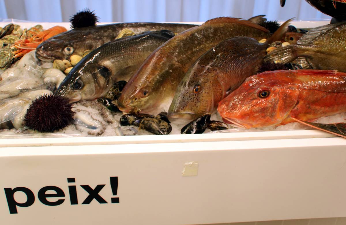 Exposició de producte fresc dels majoristes de Mercabarna  - ACN