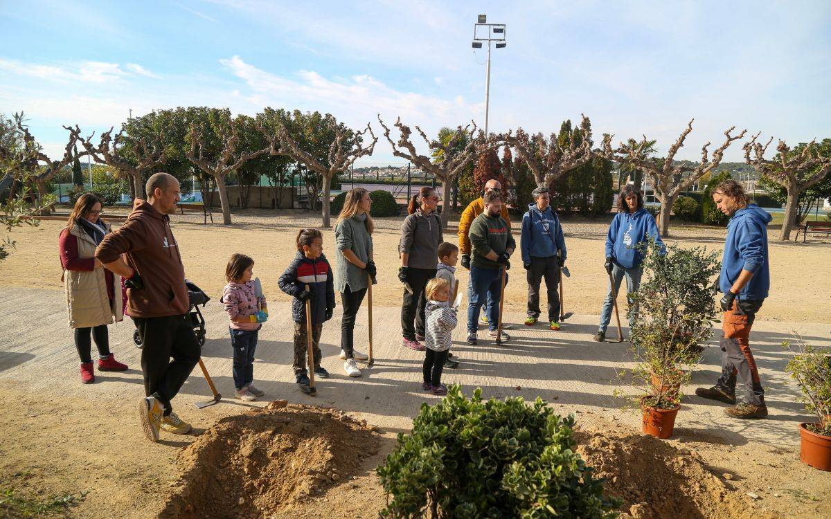 Torredembarra planta més d'un centenar d'arbres i arbustos durant la Festa de l'Arbre