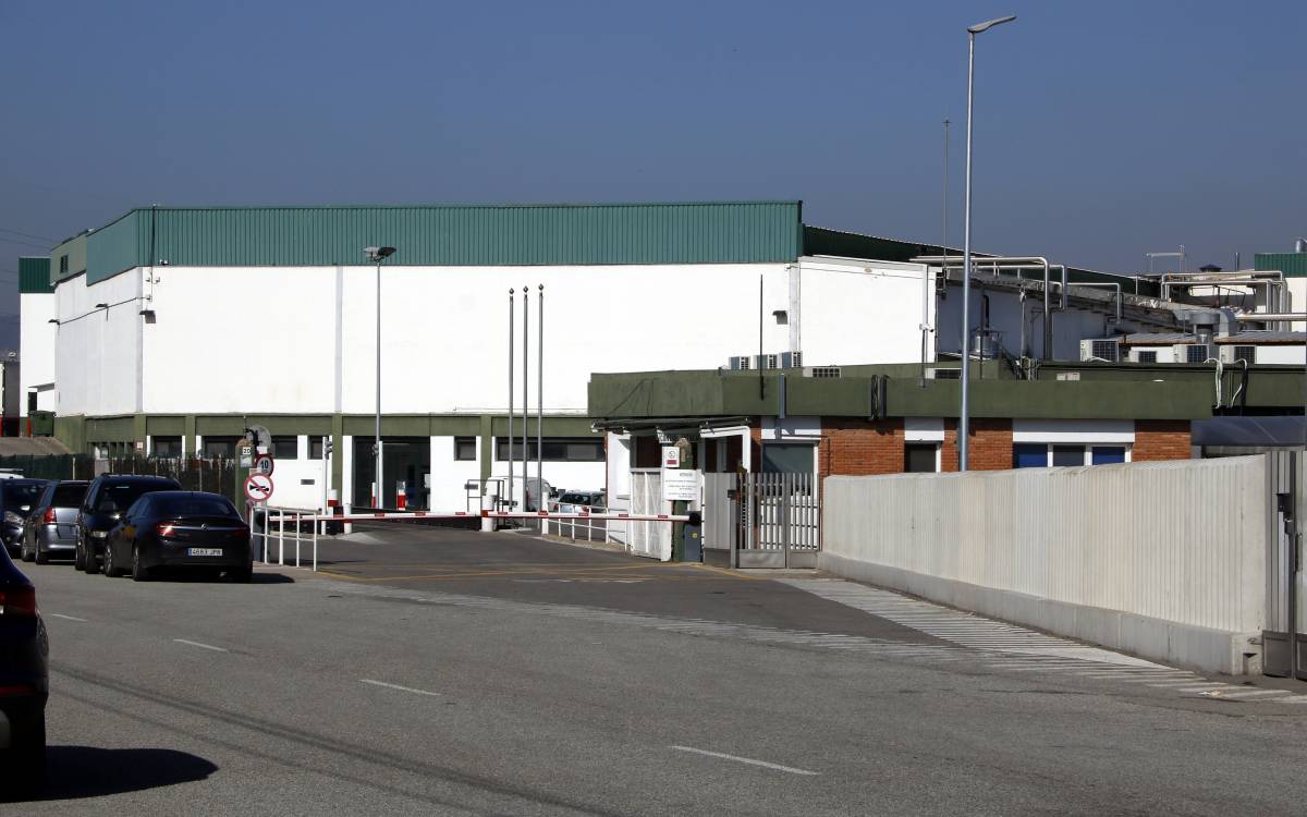 El Govern avala l'ERTO que afecta 450 treballadors del Grup Jorge pel brot de pesta porcina