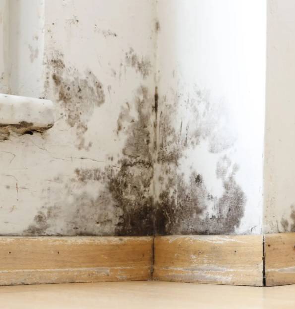 El truc infal·lible per saber l'origen de les humitats de les parets, segons un arquitecte