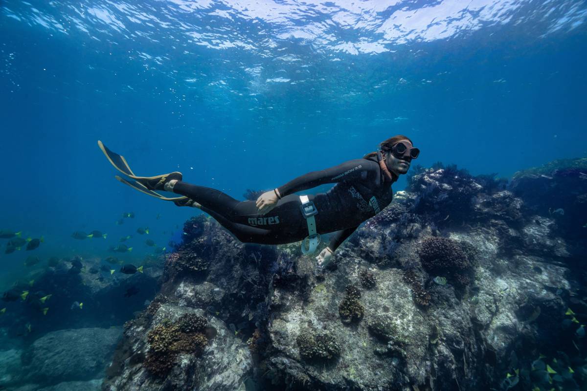 FOTOS | De Sabadell al Pacífic: la història del psicòleg que investiga els mamífers marins a Mèxic 