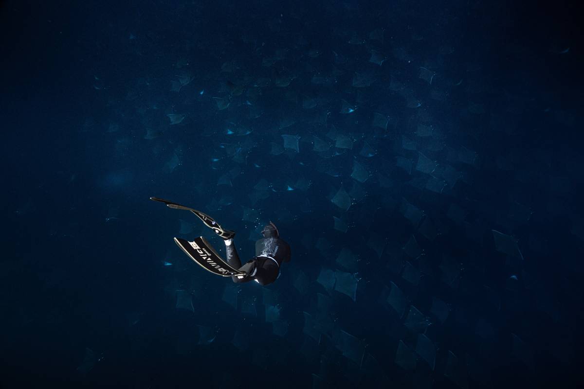 Els fons marí, a Mèxic - Cedida - D.G. Els fons marí, a Mèxic