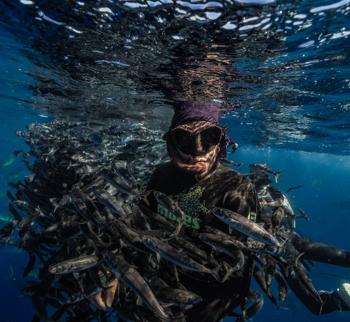 Els fons marí, a Mèxic - Cedida - D.G. Els fons marí, a Mèxic