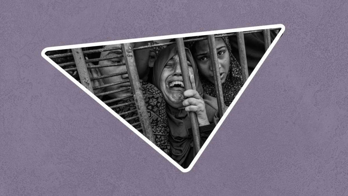 Aquest any hem après... Que a Gaza s'hi ha comès un genocidi