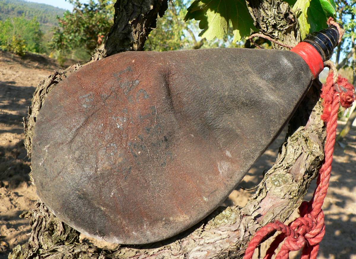 Un bot o botella en una imatge d`arxiu. - Núria Puigdellívol/Les mil veus de Bacus Un bot o botella en una imatge d`arxiu.