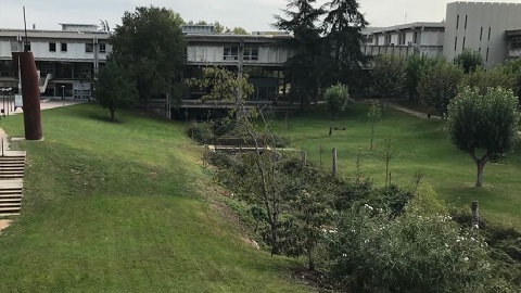 En estat crític una estudiant que va patir una indisposició mentre nedava a la piscina de la UAB