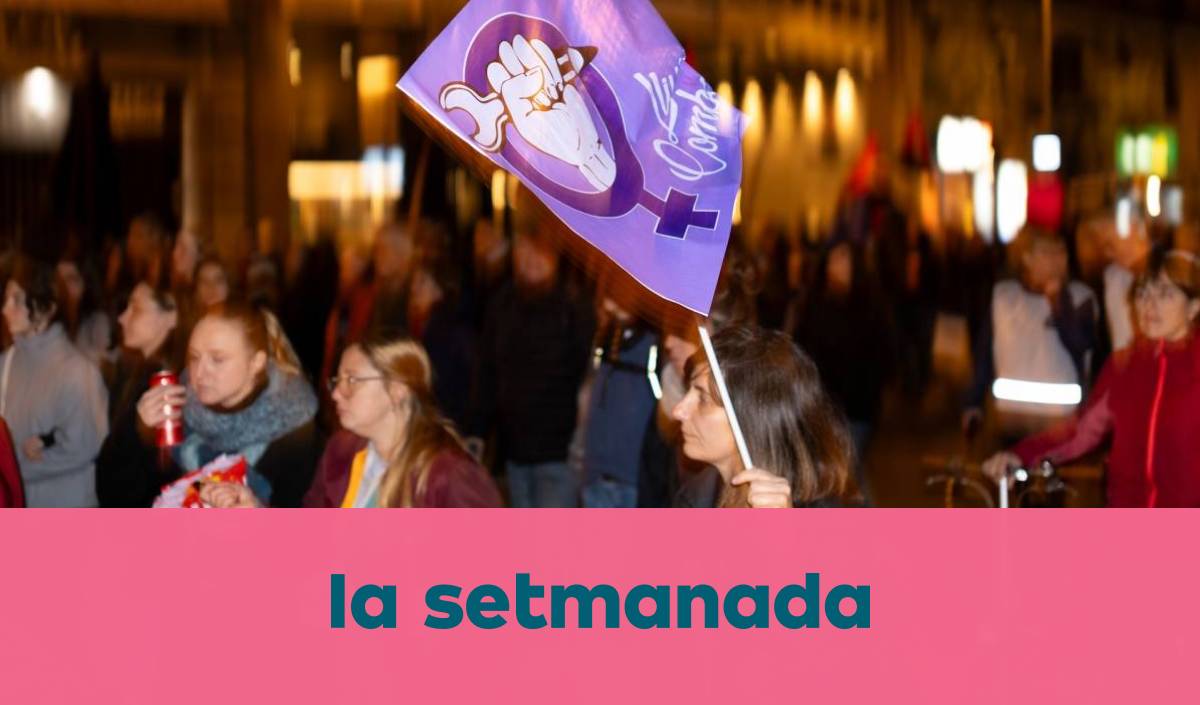 Lliçons de feminisme