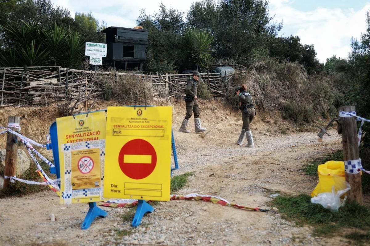 Agricultura confirma tres positius més de pesta porcina africana i eleva el total a 16