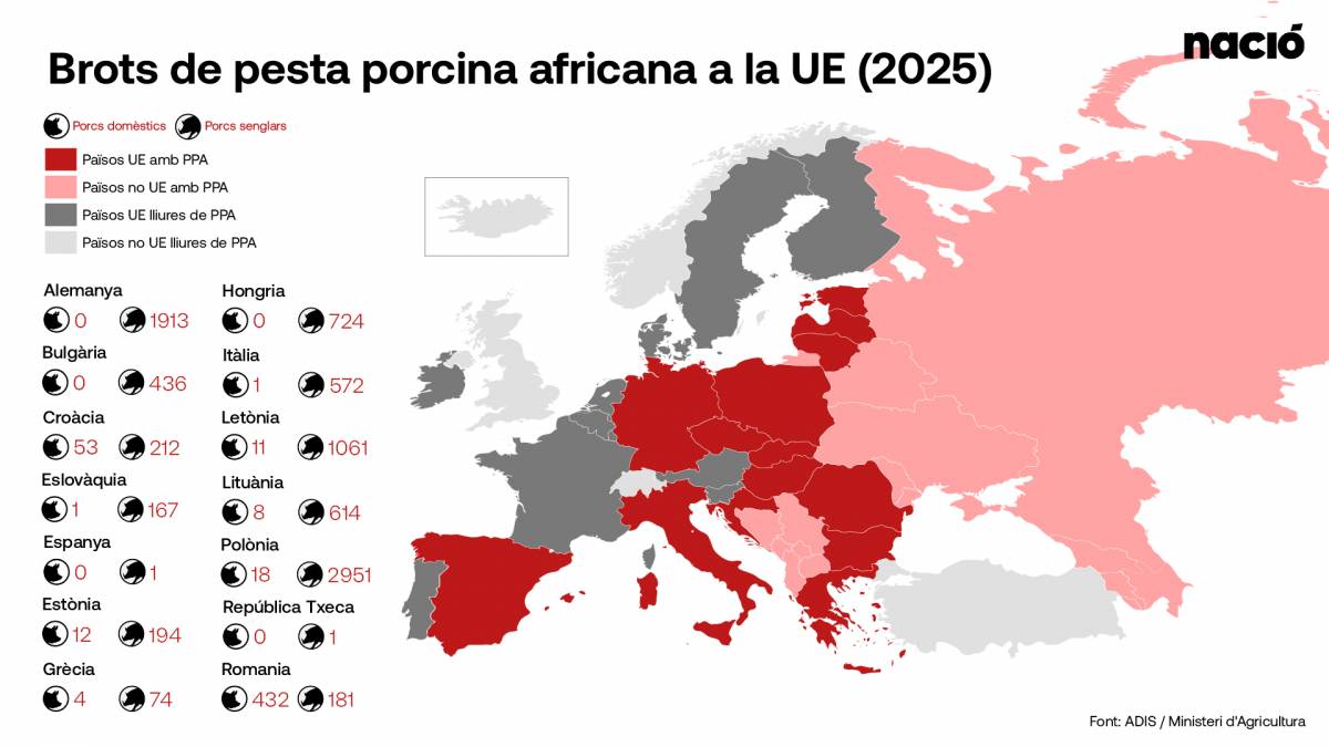Mapa dels brots de pesta porcina a la Unió Europea - Disseny d`Aleix Pérez Mapa dels brots de pesta porcina a la Unió Europea