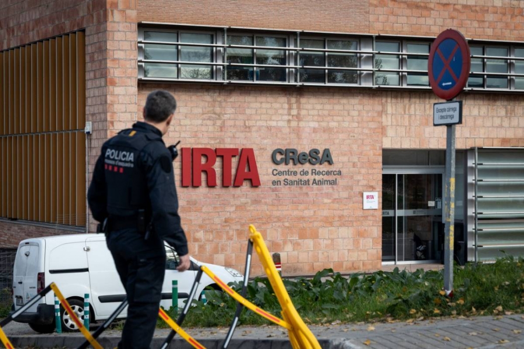El Govern evita apuntar a l'IRTA-CReSA i manté tres hipòtesis sobre el brot