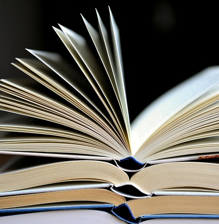 Els 10 llibres finalistes del Premi Òmnium a la Millor Novel·la de l'Any