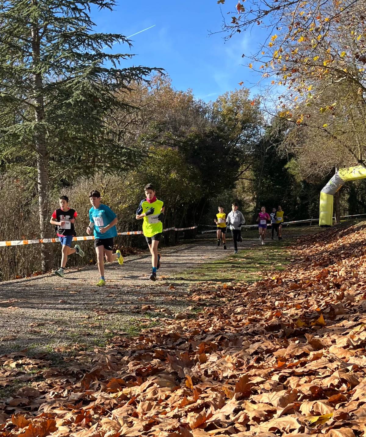 Circuit comarcal de cross Solsonès - Circuit comarcal de cross Solsonès