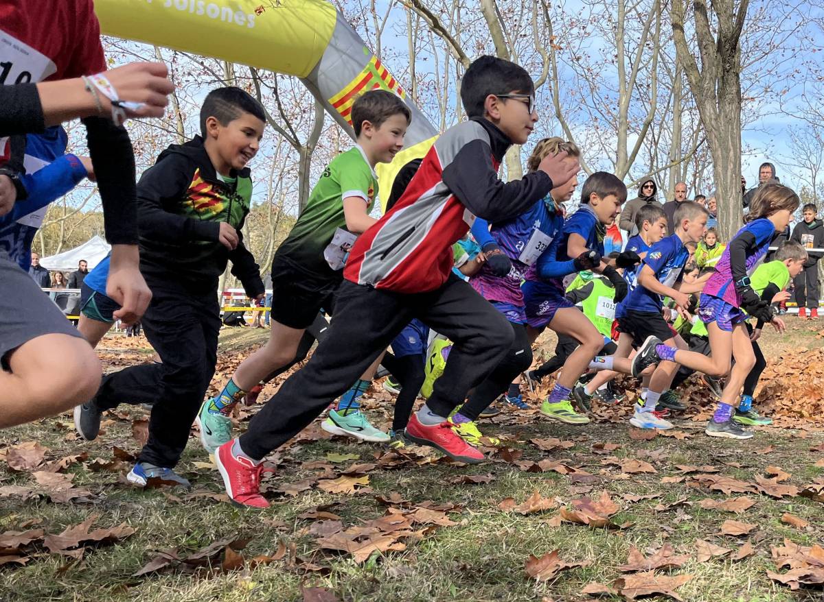 Circuit comarcal de cross escolar del Solsonès - Circuit comarcal de cross escolar del Solsonès