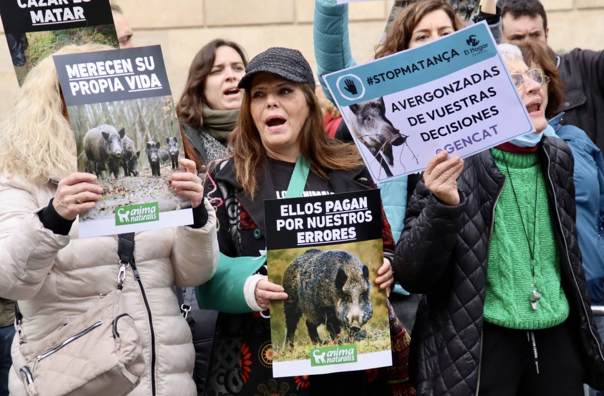 Unes 200 persones protesten a Barcelona contra la «massacre» de senglars a Collserola arran de la pesta porcina