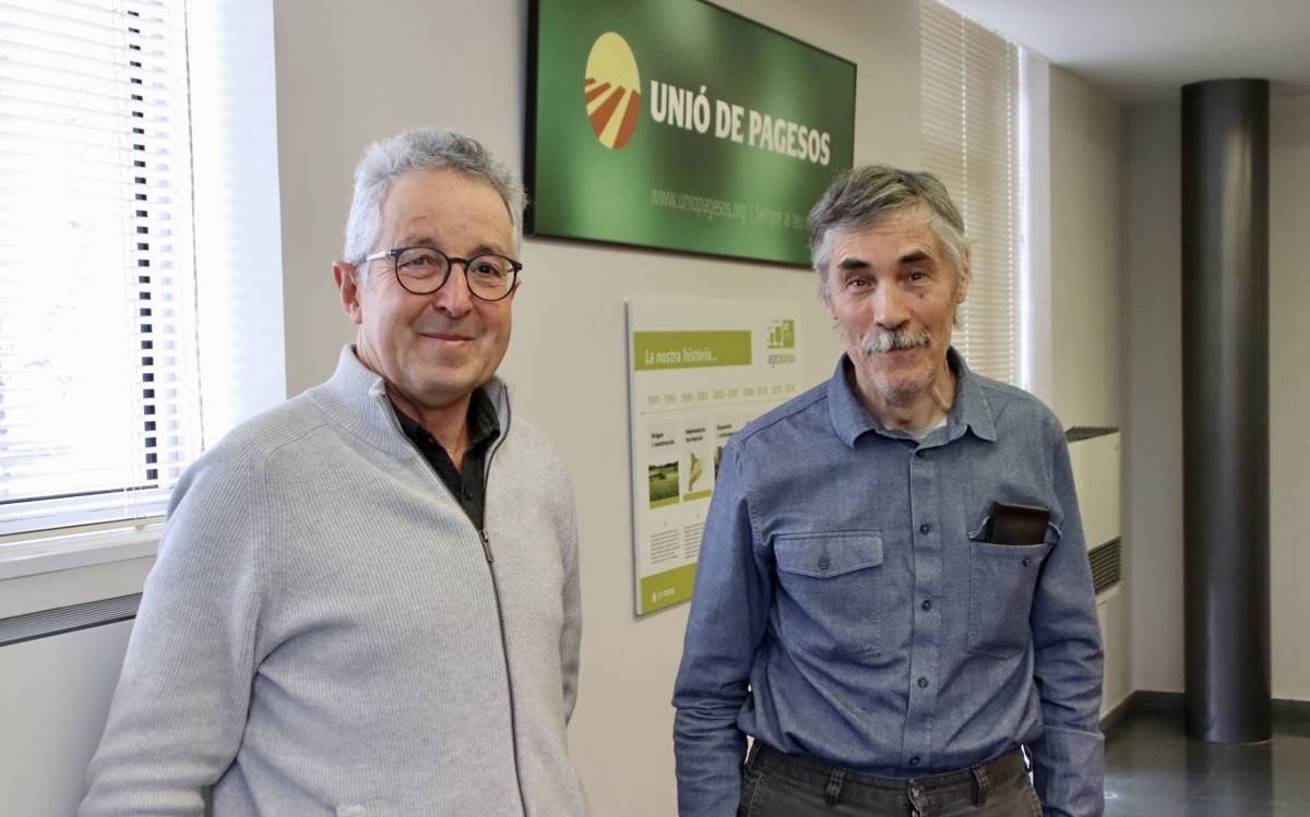 Ramaders d'Osona afectats per la pesta porcina del 2001: «No sé com ho vam resistir, no sabies on posar el bestiar»