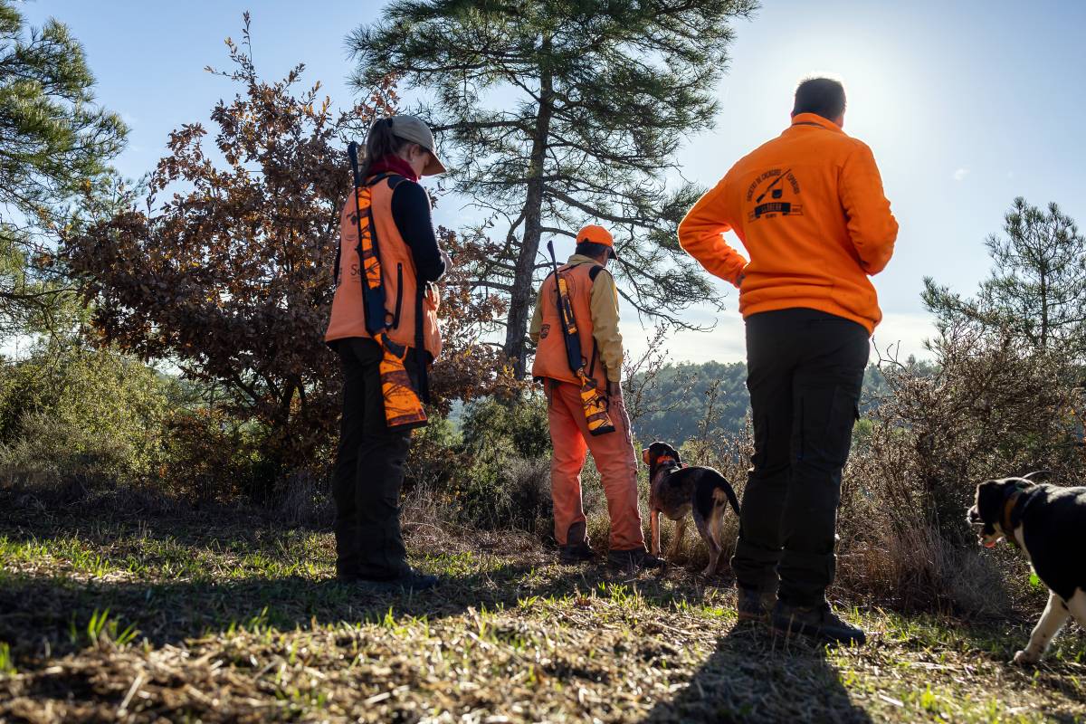 Els gossers són els que es mouen al llarg de tota la zona de la batuda - Hugo Fernández