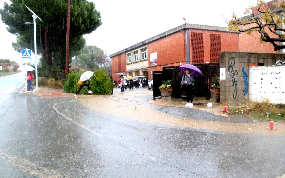 Falset suspèn les classes per precaució i intensifica la neteja i revisió de camins