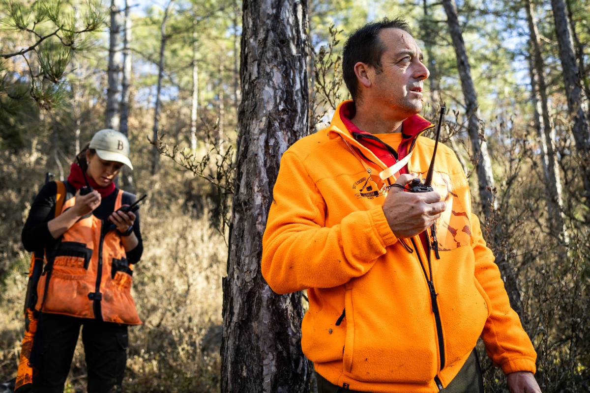 Els gossers són els que es mouen al llarg de tota la zona de la batuda - Hugo Fernández