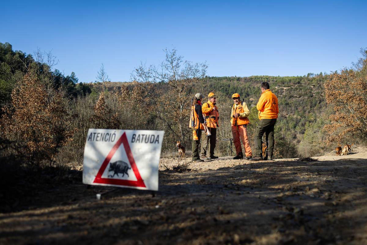 Els caçadors senyalitzen la batuda per evitar accidents - Hugo Fernández