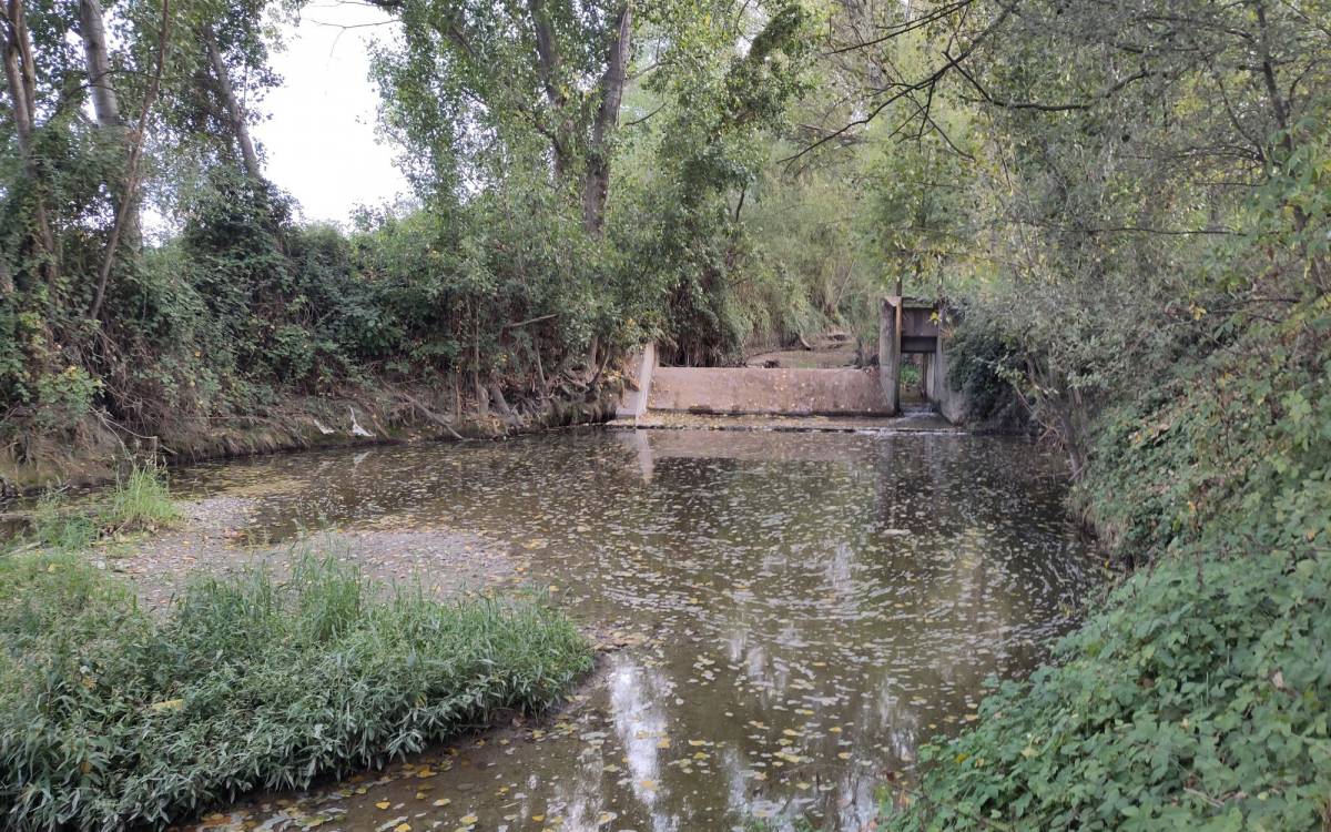 Projecte «Riberes de Vic»: antiga resclosa de Colomer Munmany al riu Gurri. - Uvic-UCC Projecte «Riberes de Vic»: antiga resclosa de Colomer Munmany al riu Gurri.