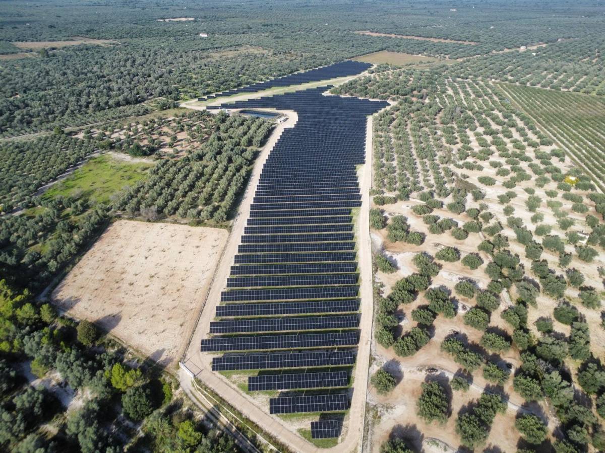 La Generalitat compra el primer parc solar de Catalunya que combina electricitat i agricultura