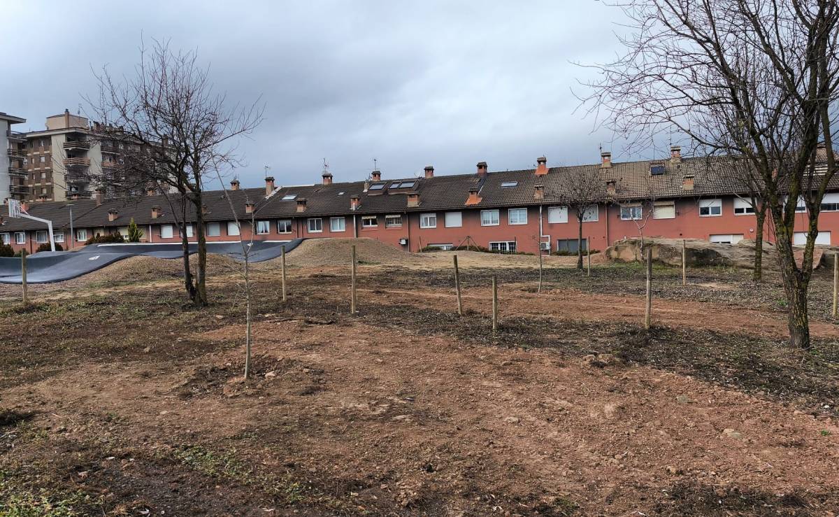 La brigada de Solsona incrementa i substitueix arbrat urbà amb una seixantena d'exemplars 